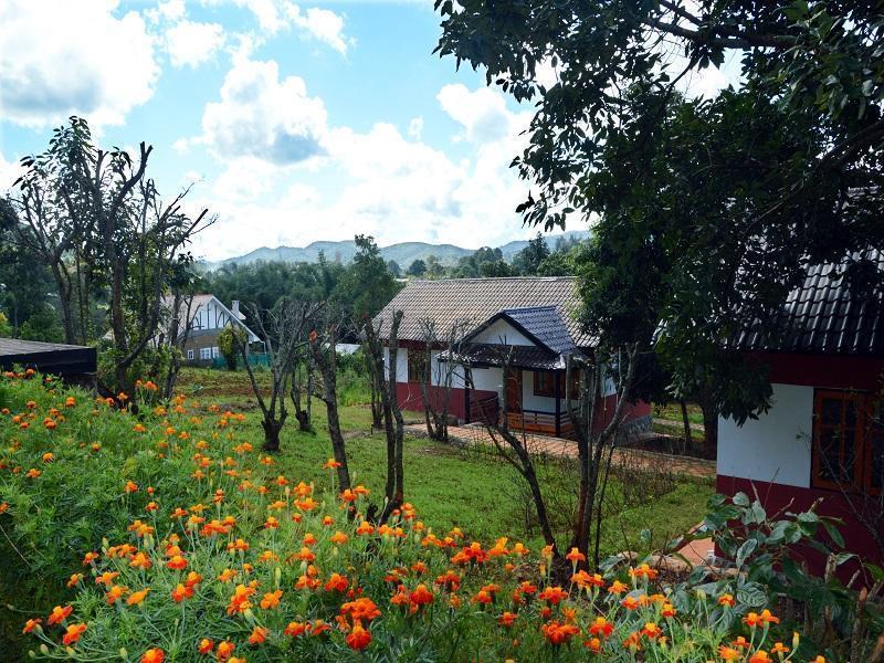 Morning Glory Inn 格劳 外观 照片