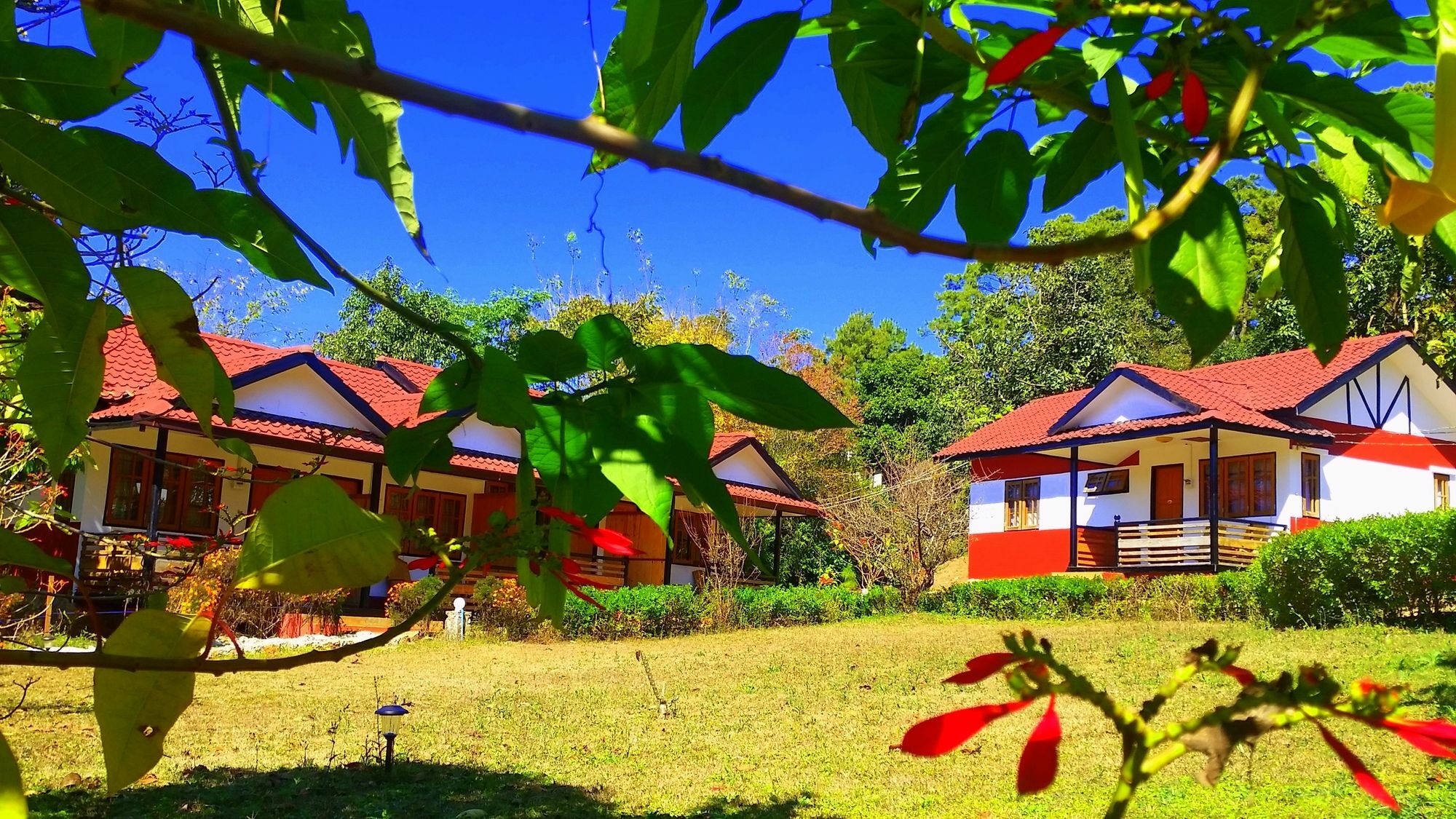 Morning Glory Inn 格劳 外观 照片