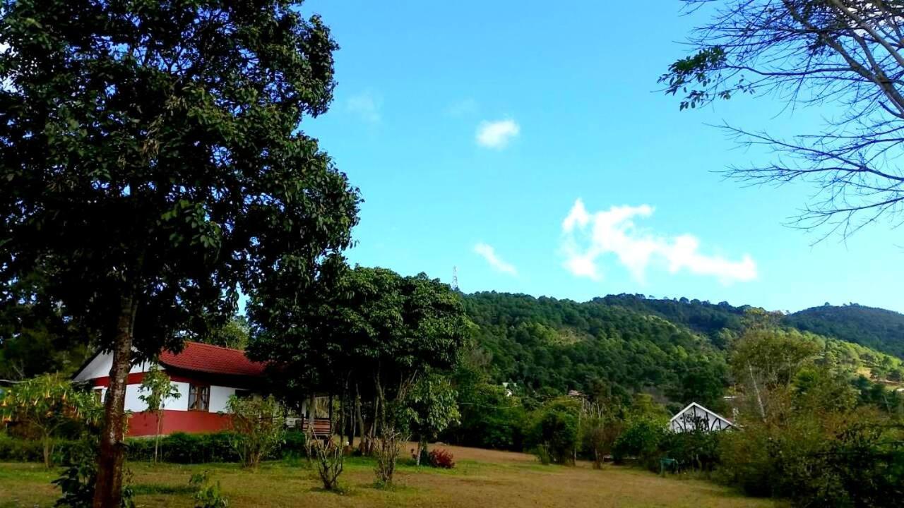 Morning Glory Inn 格劳 外观 照片